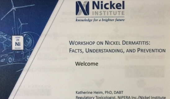 nickel workshop